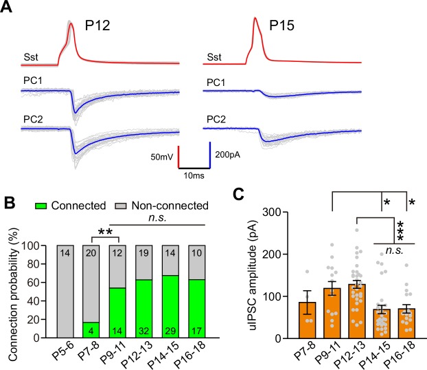 Figure 1—figure supplement 4.