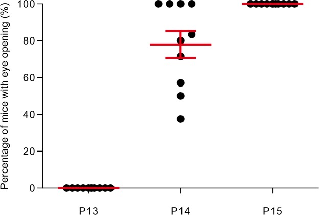 Figure 1—figure supplement 2.