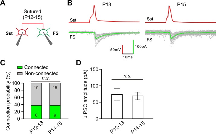 Figure 6—figure supplement 3.