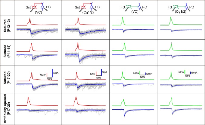 Figure 6—figure supplement 2.