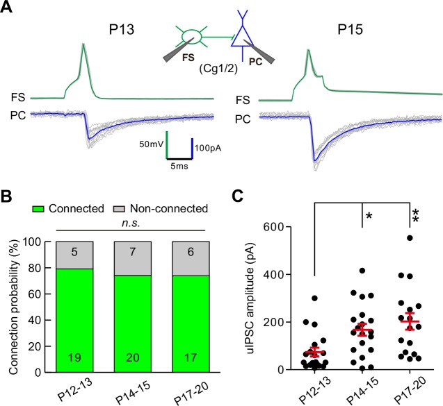 Figure 3—figure supplement 2.