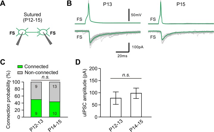 Figure 6—figure supplement 4.