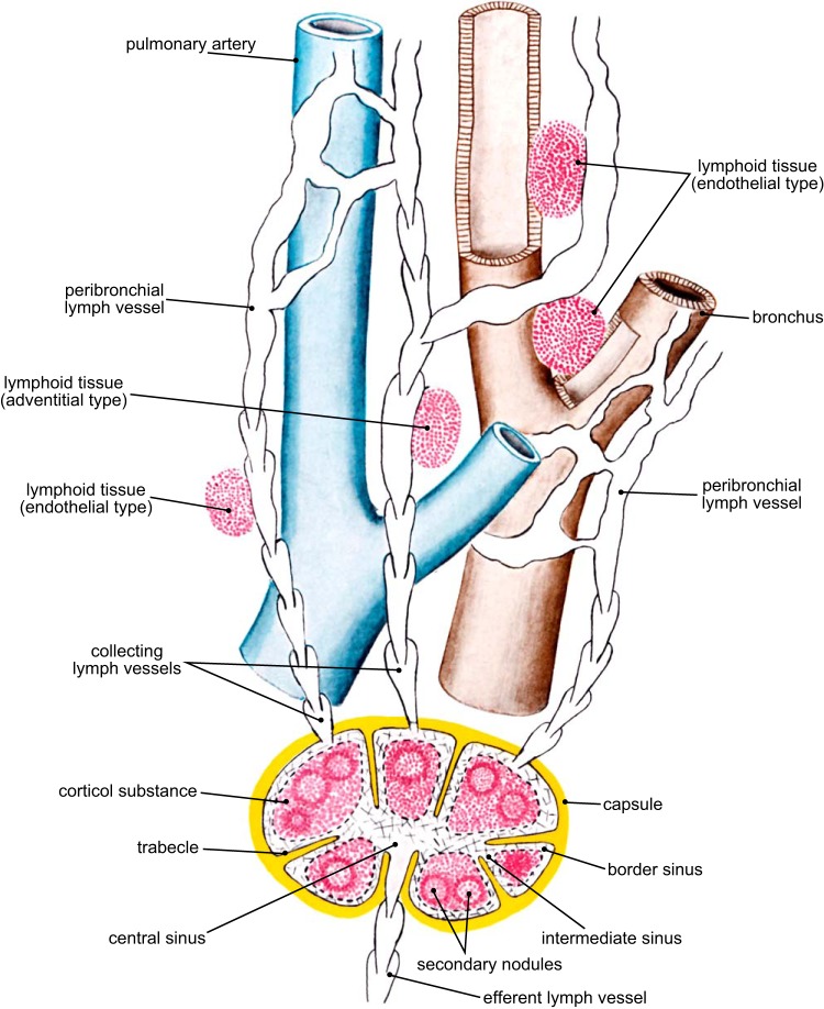 FIGURE 11.