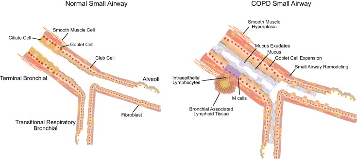 FIGURE 10.