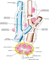 FIGURE 11.