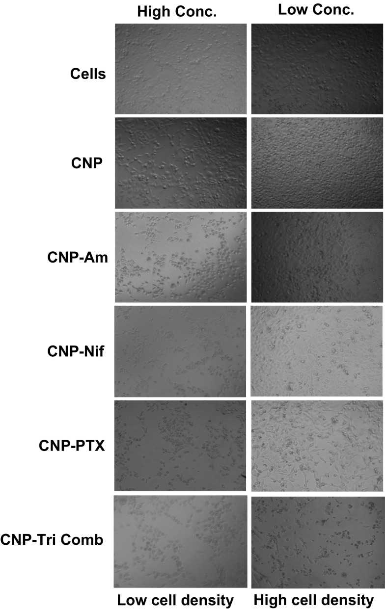 Figure 7