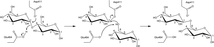 SCHEME 2.