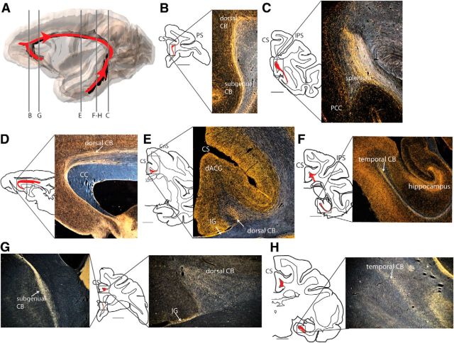 Figure 13.