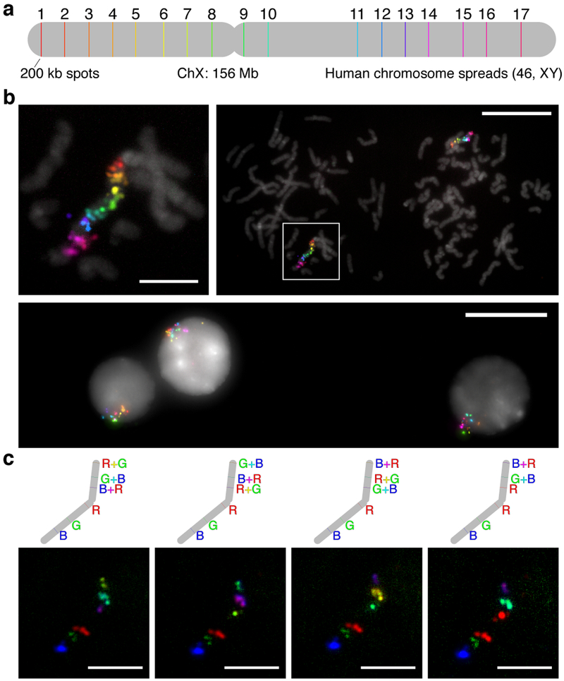 Figure 6: