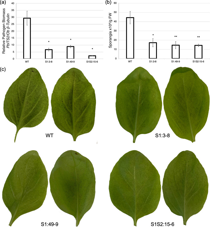 Fig 6