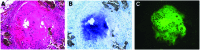 <b>FIG. 5.</b>
