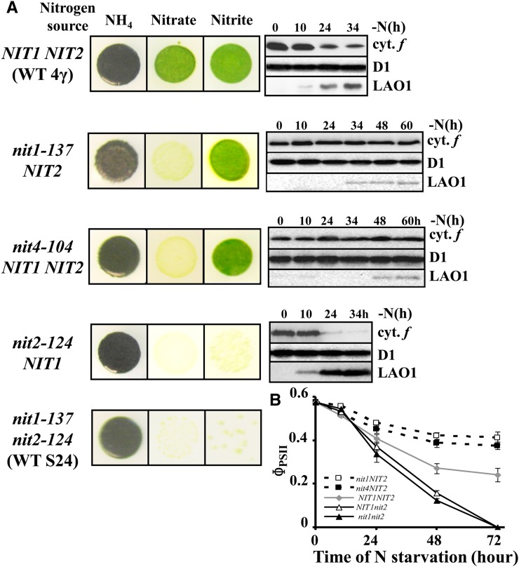 Figure 12.