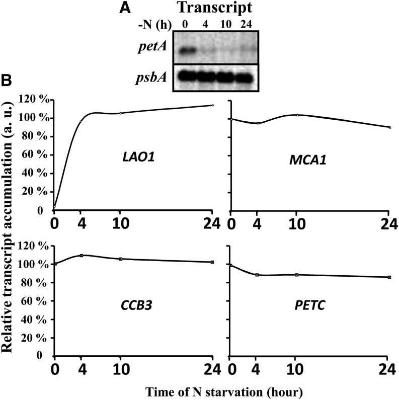 Figure 5.