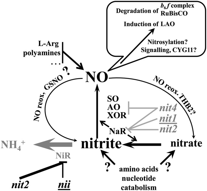 Figure 13.