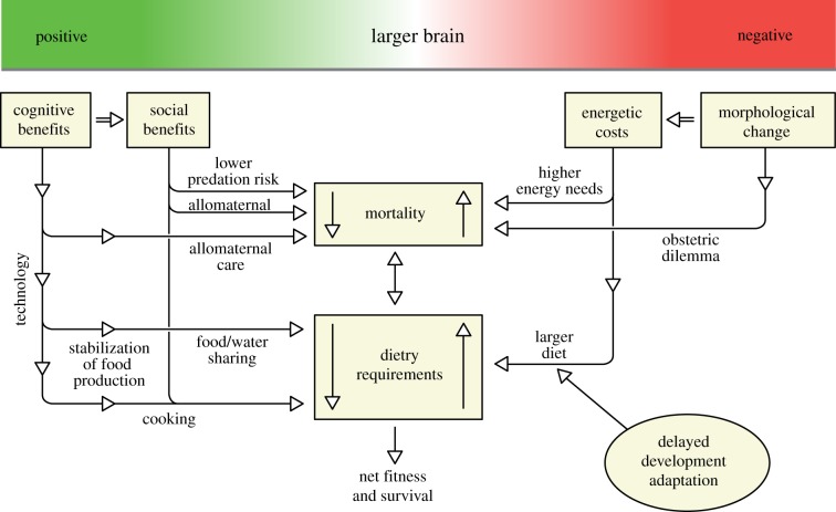 Figure 2.