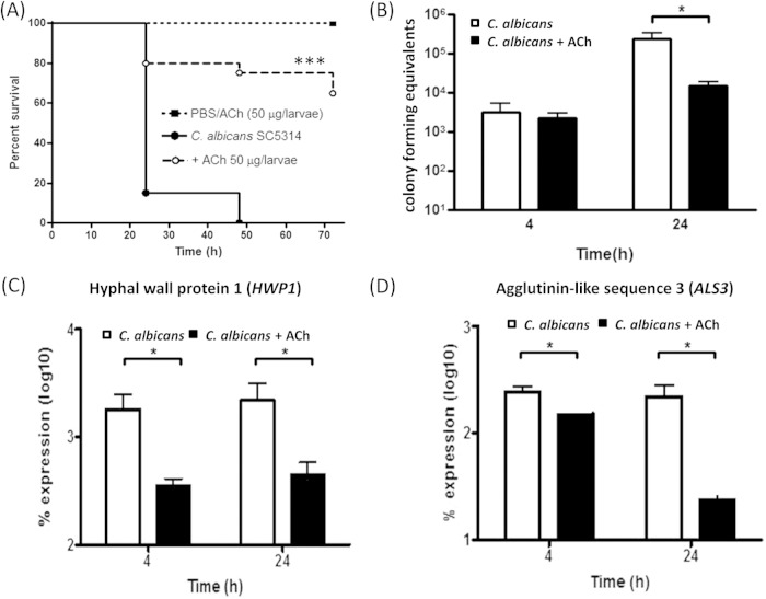 FIG 2