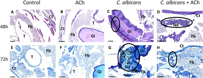 FIG 3