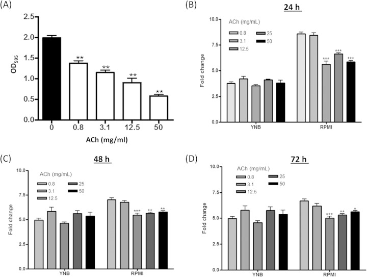 FIG 1