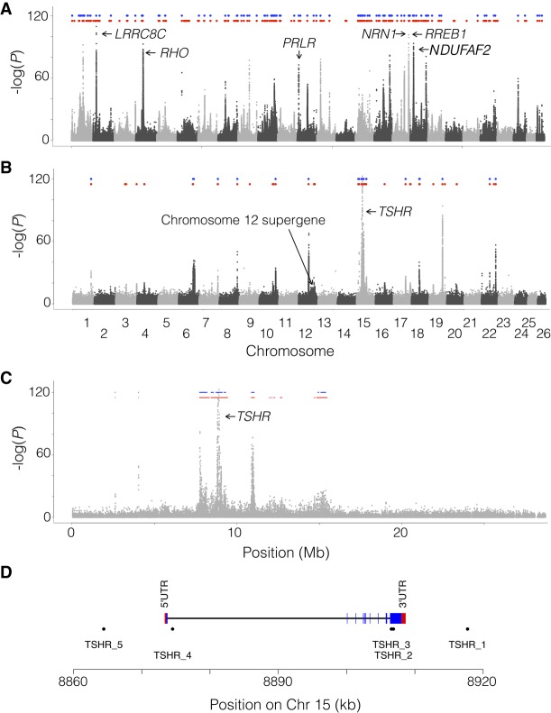 Figure 4.