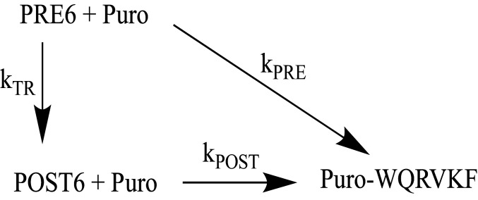 Scheme 2.