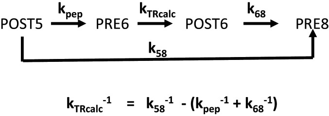 Scheme 1.