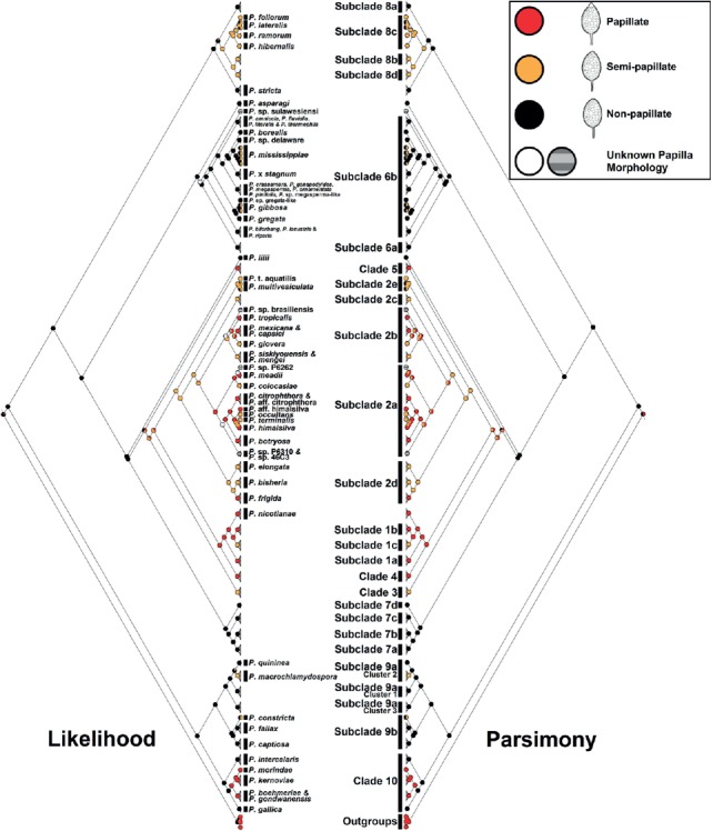 Fig. 6.