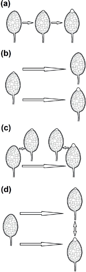 Fig. 7.