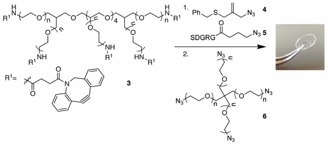 Scheme 3