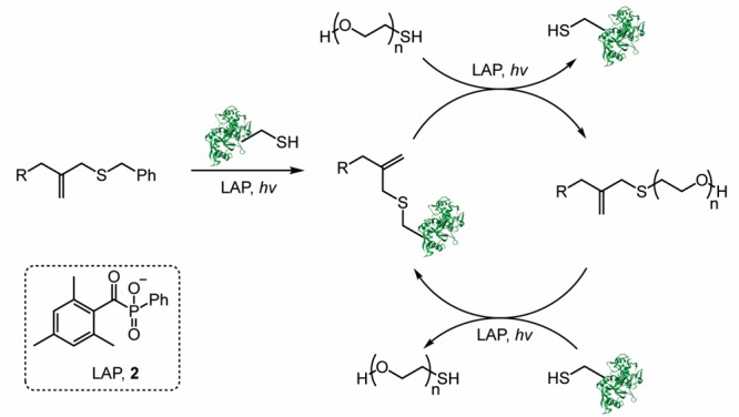 Scheme 2