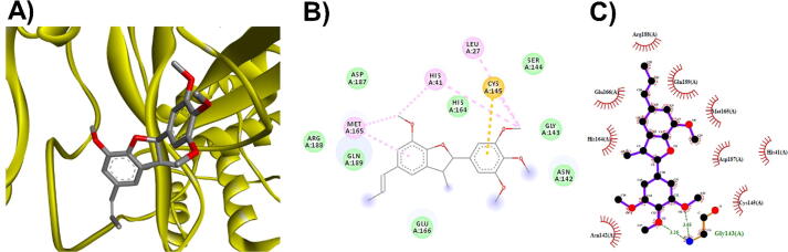 Fig. 10