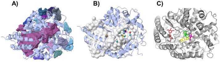 Fig. 1