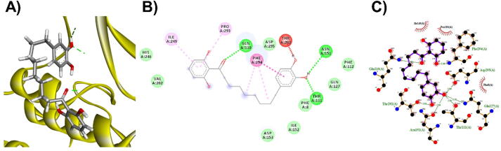 Fig. 12