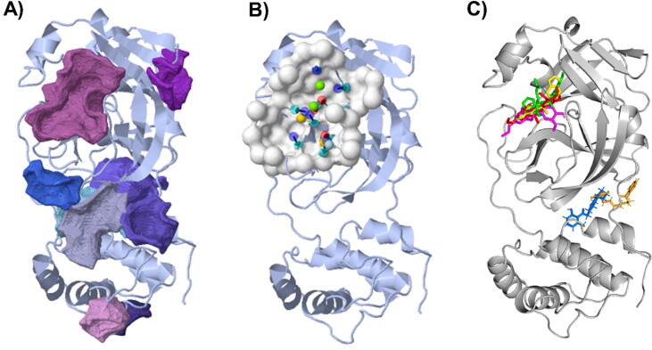 Fig. 6