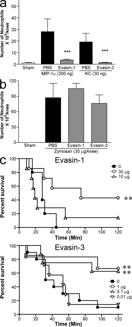 Figure 10.