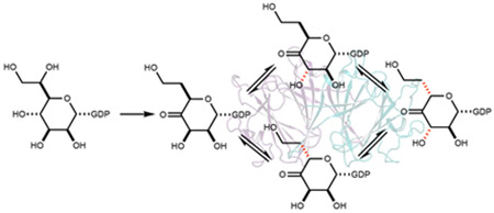 graphic file with name nihms-1844118-f0001.jpg