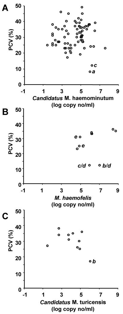 FIG. 1.