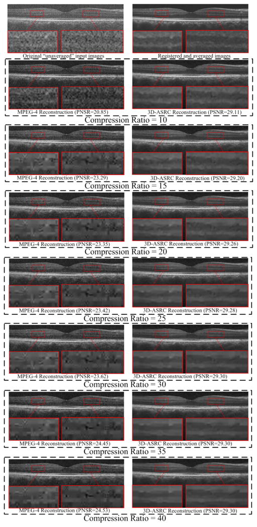 Fig. 8