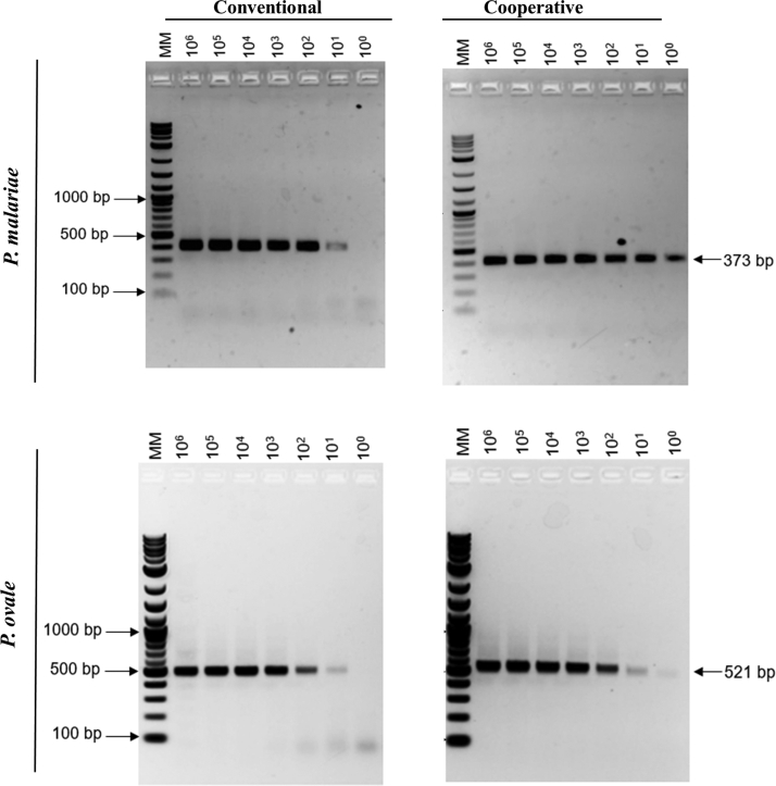 Figure 2