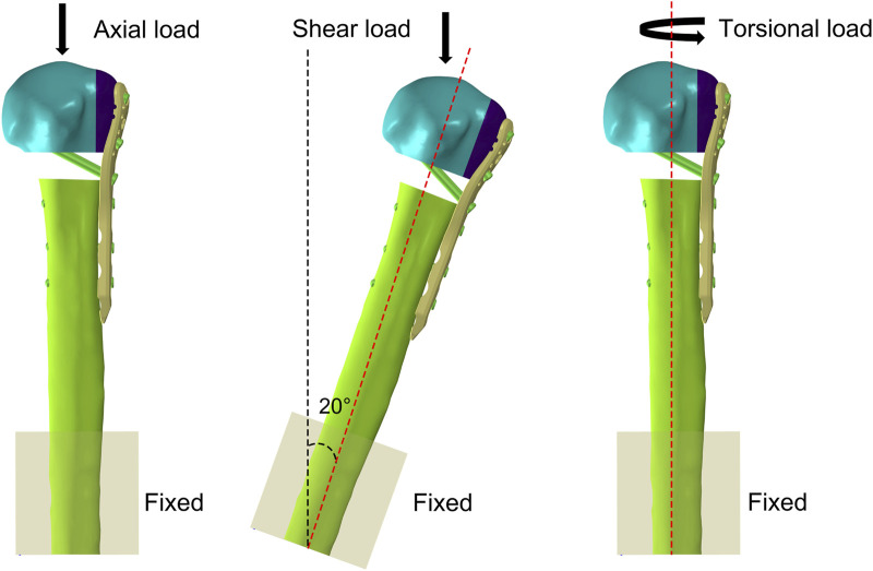 FIGURE 3