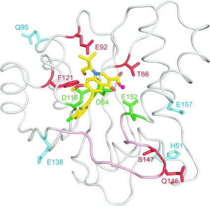 FIG. 7.