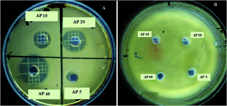 Fig. 7