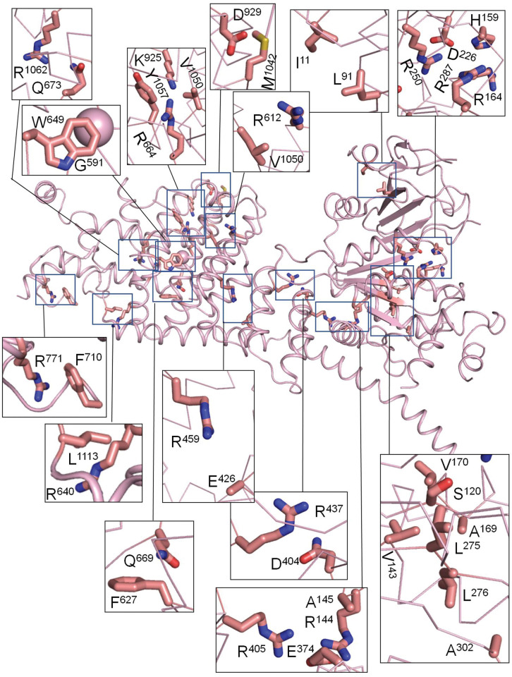 Fig 5