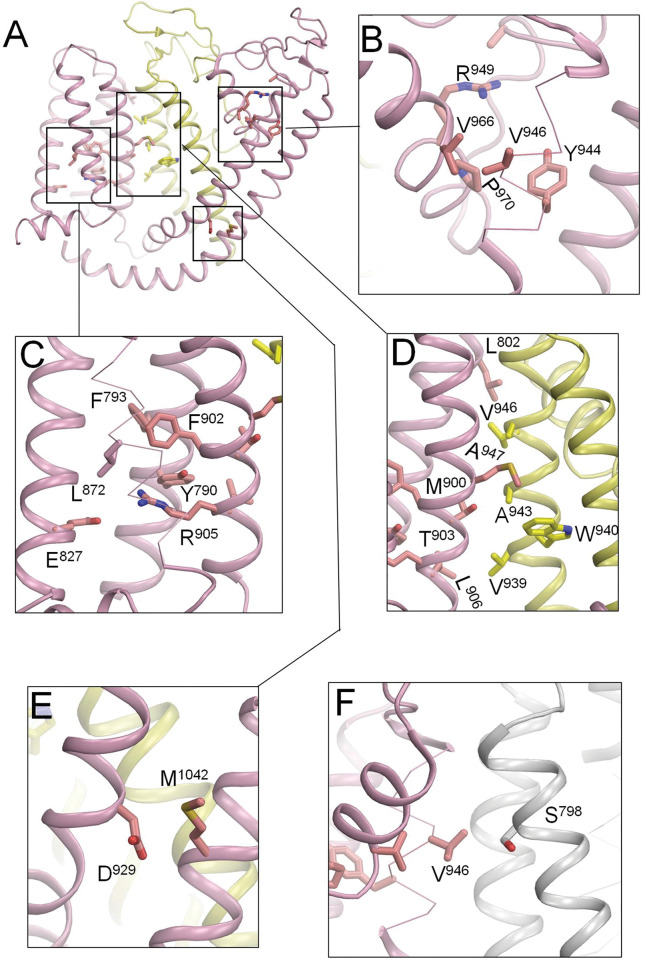 Fig 4