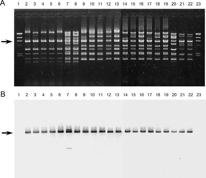 FIG. 6.