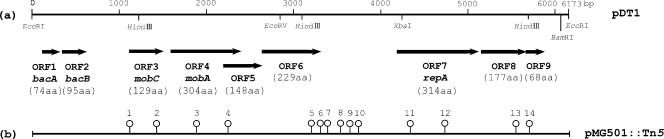 FIG. 2.