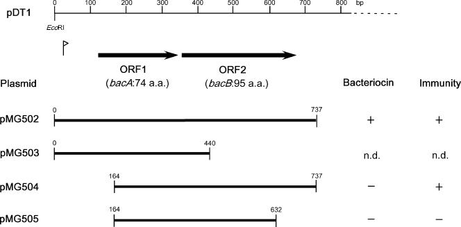 FIG. 3.