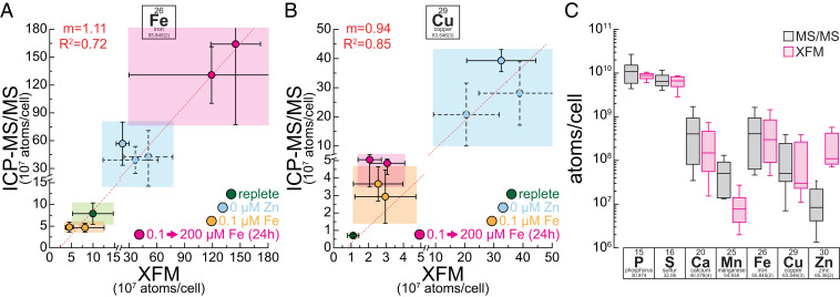 Fig. 4.