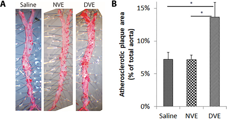 Fig. 8