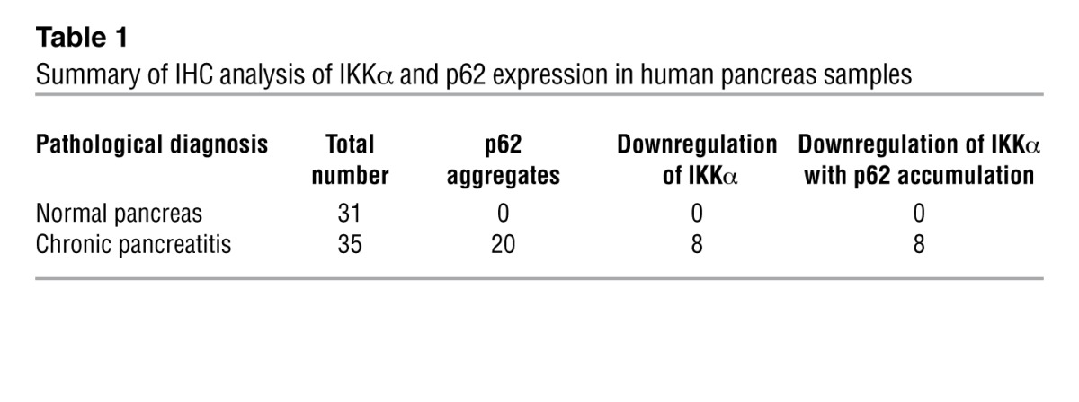 graphic file with name JCI64498.t1.jpg