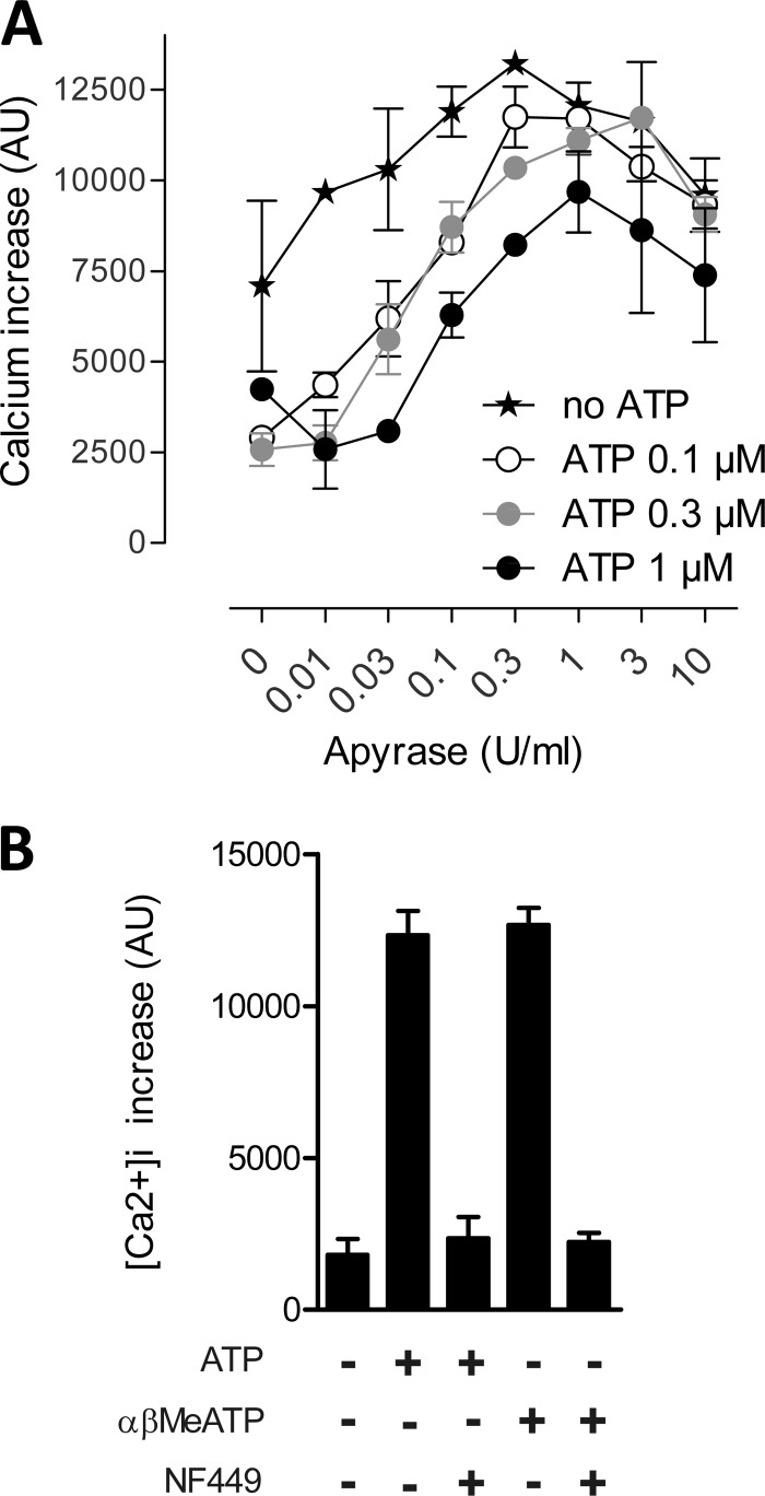 FIGURE 4.